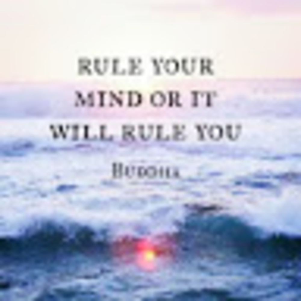 Meet your Posher, Saima